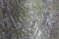 Turleygreen fibreglass roof work